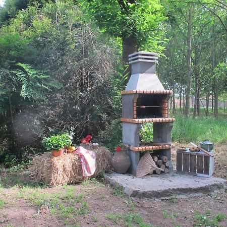 No Meio da Natureza - Turismo No Espaco Rural Vila Nova de Famalicão Exterior foto