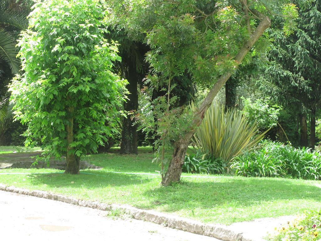 No Meio da Natureza - Turismo No Espaco Rural Vila Nova de Famalicão Exterior foto